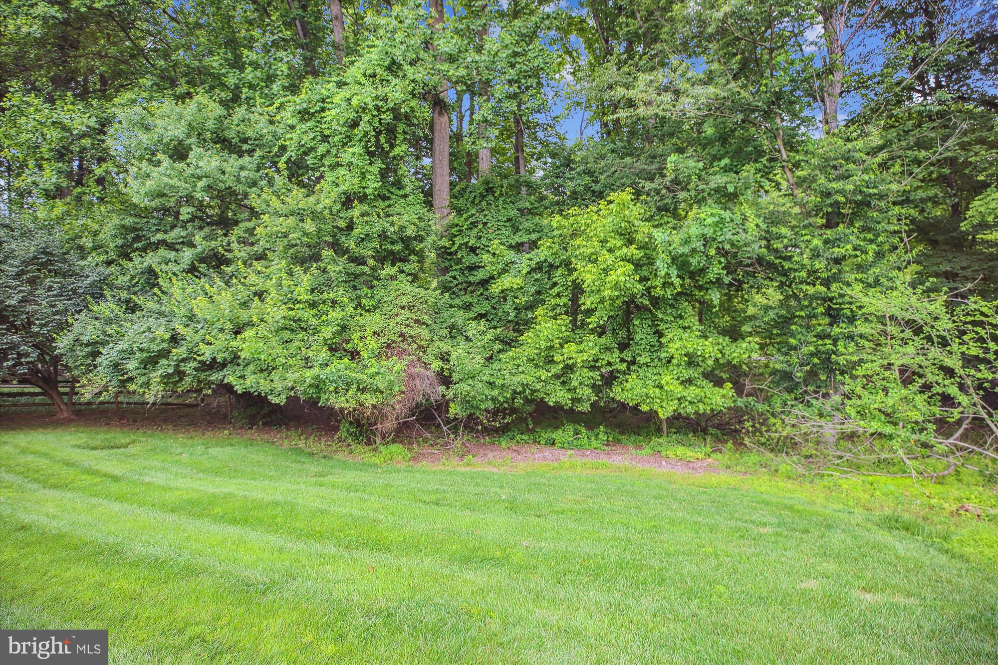 9417 Reach Road Potomac, MD 20854 - Photo 58 of 67 Back Yard