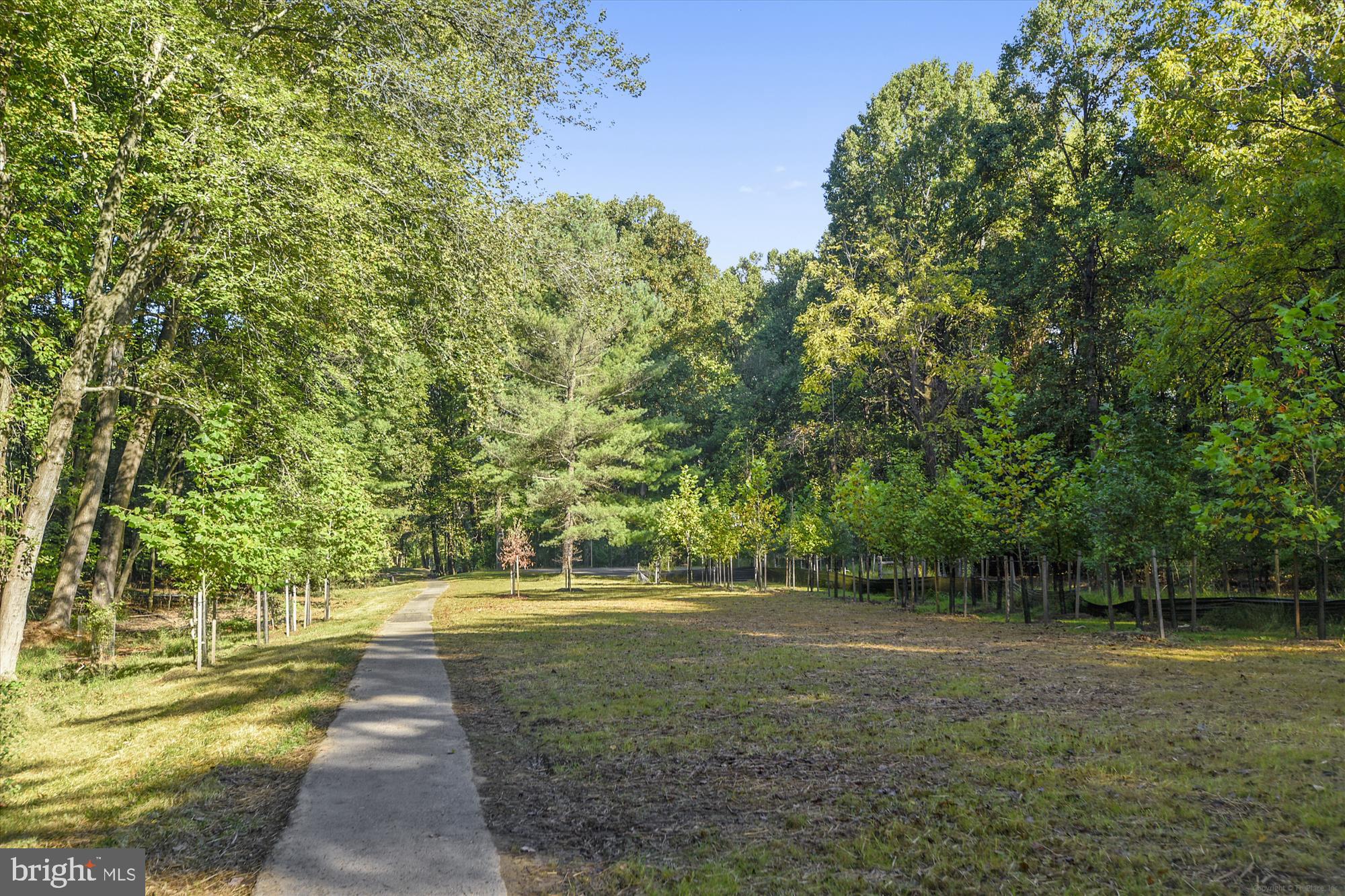9417 Reach Road Potomac, MD 20854 - Photo 62 of 67 Community