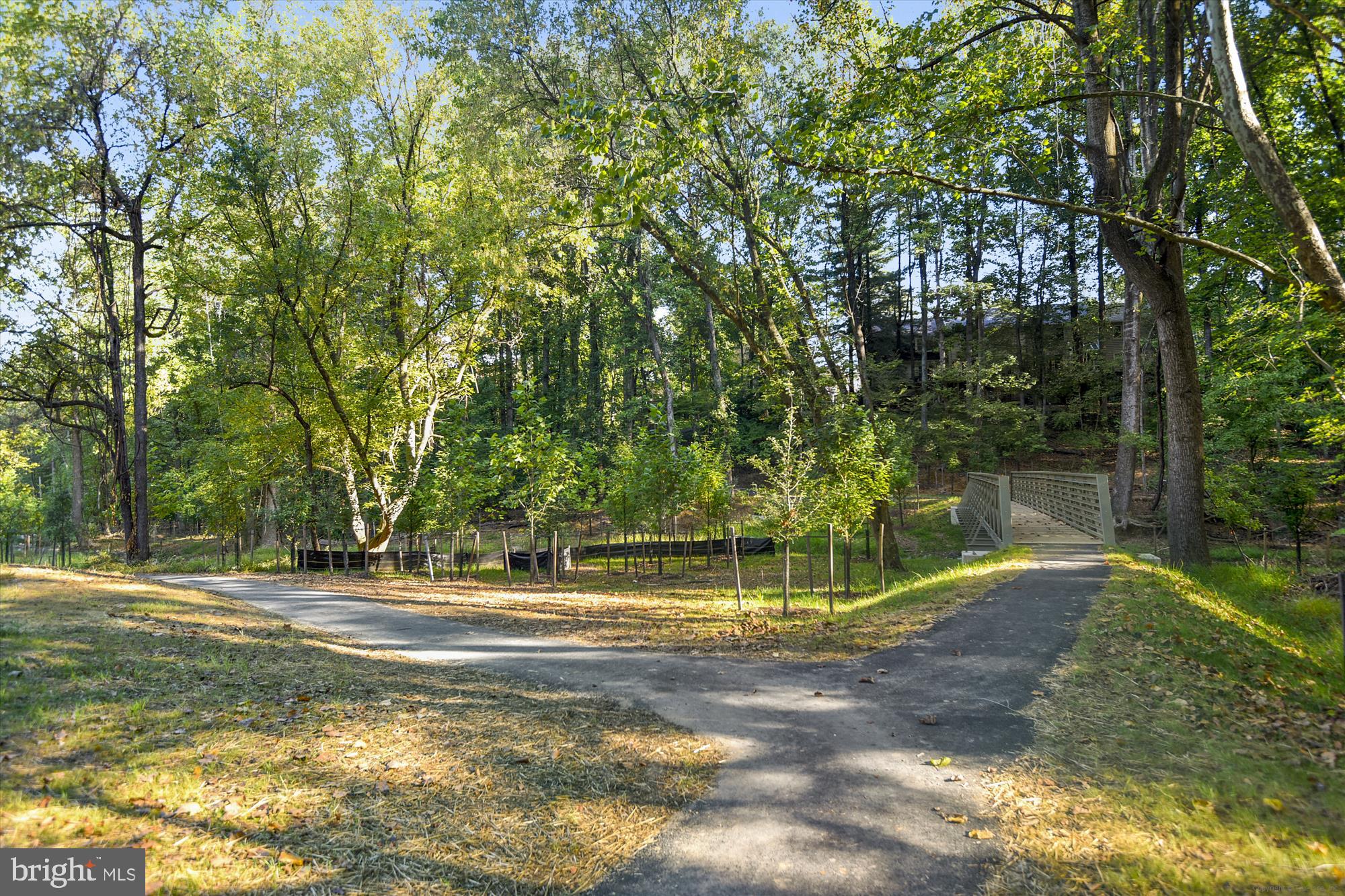 9417 Reach Road Potomac, MD 20854 - Photo 64 of 67 Community