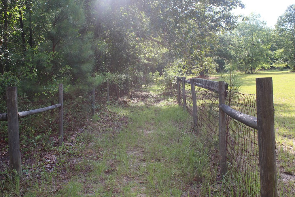 1114 Gray Mare Hollow Road Aiken, SC 29803 - Photo 20 of 27