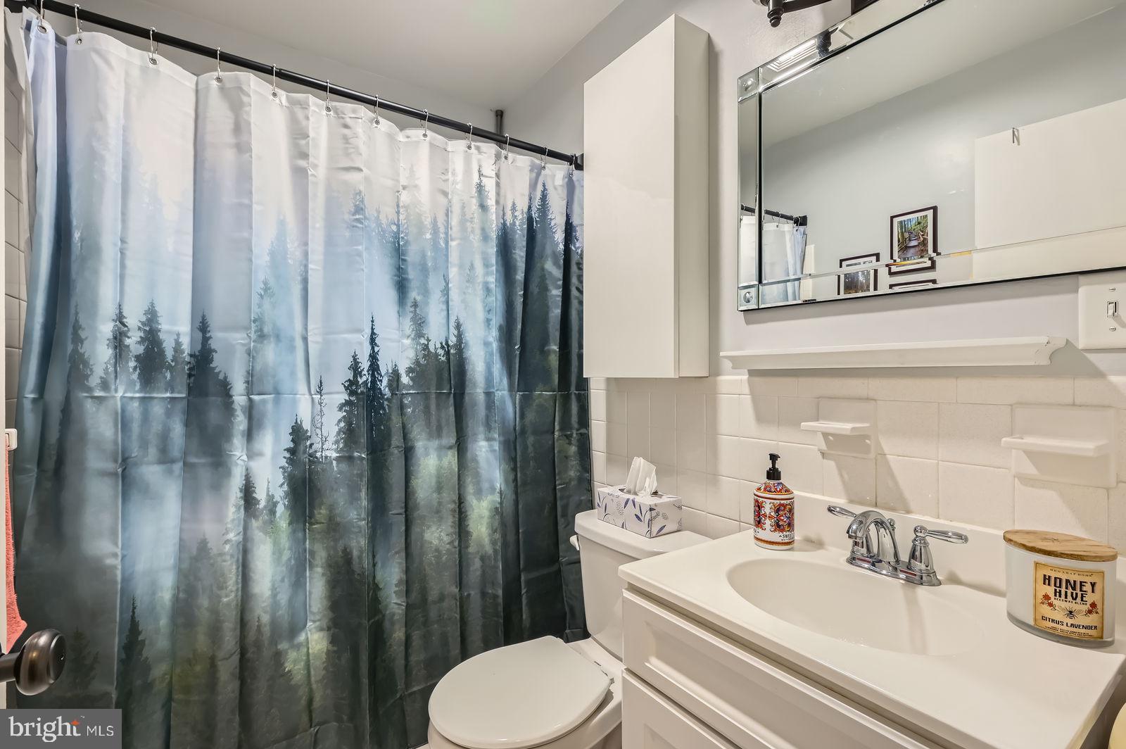 14629 Hanover Pike Upperco, MD 21155 - Photo 20 of 38 a bathroom with a sink a toilet and shower curtain