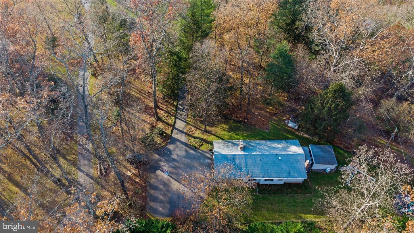 14629 Hanover Pike Upperco, MD 21155 - Photo 5 of 38 a view of a backyard with plants and large trees