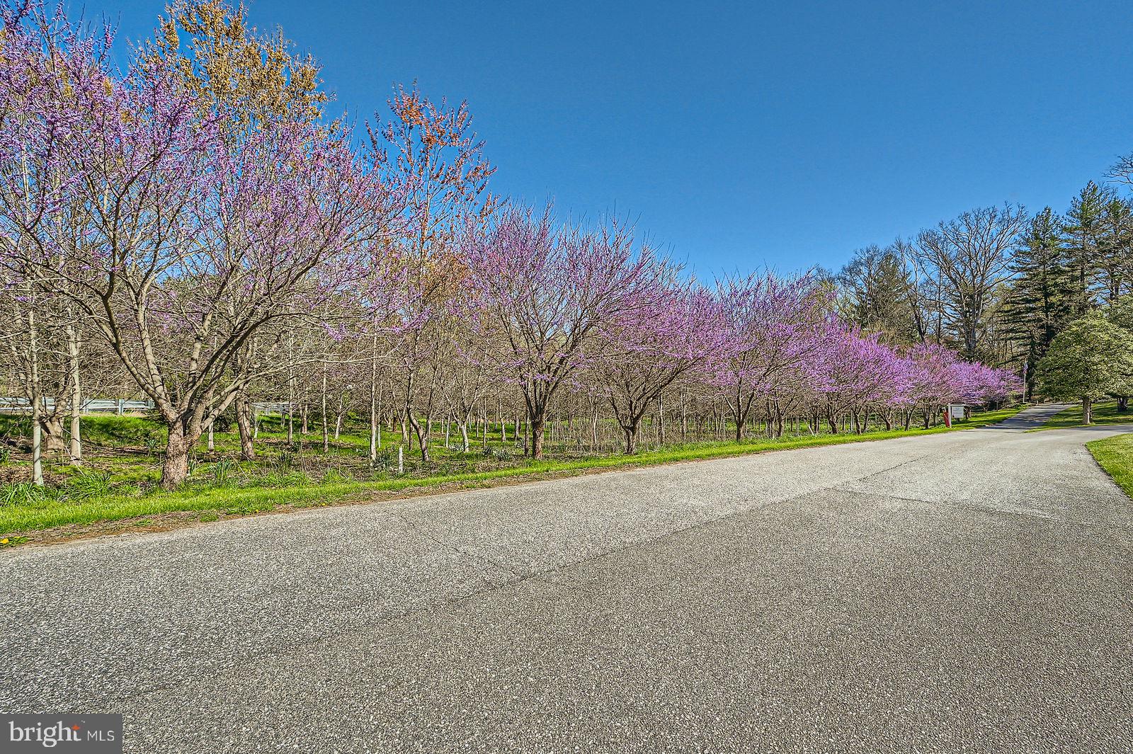 14629 Hanover Pike Upperco, MD 21155 - Photo 6 of 38 a view of road and trees