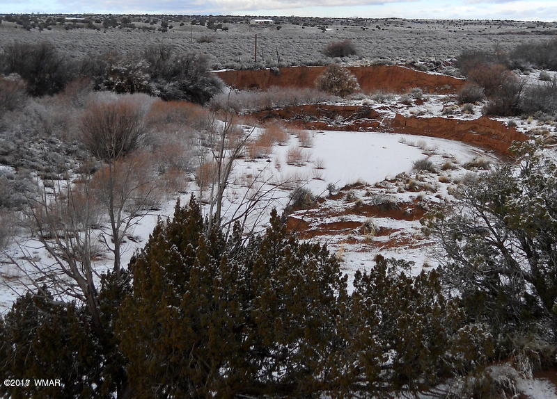 9743 Butler Trail Snowflake, AZ 85937 - Photo 7 of 13