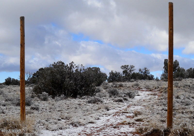 9743 Butler Trail Snowflake, AZ 85937 - Photo 10 of 13