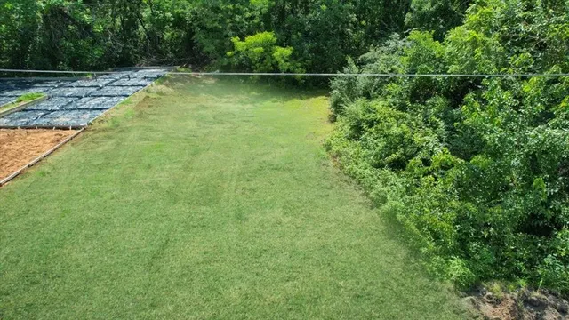 a view of a yard with a tree