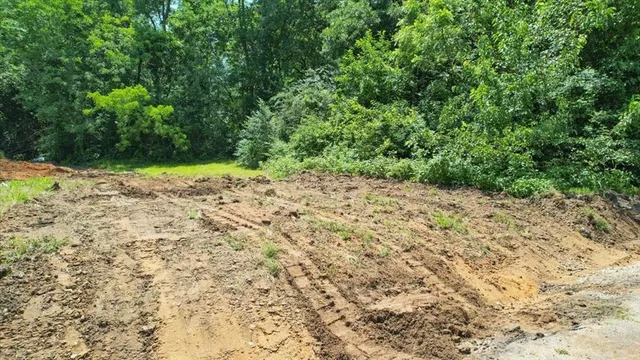 a view of a yard with a trees