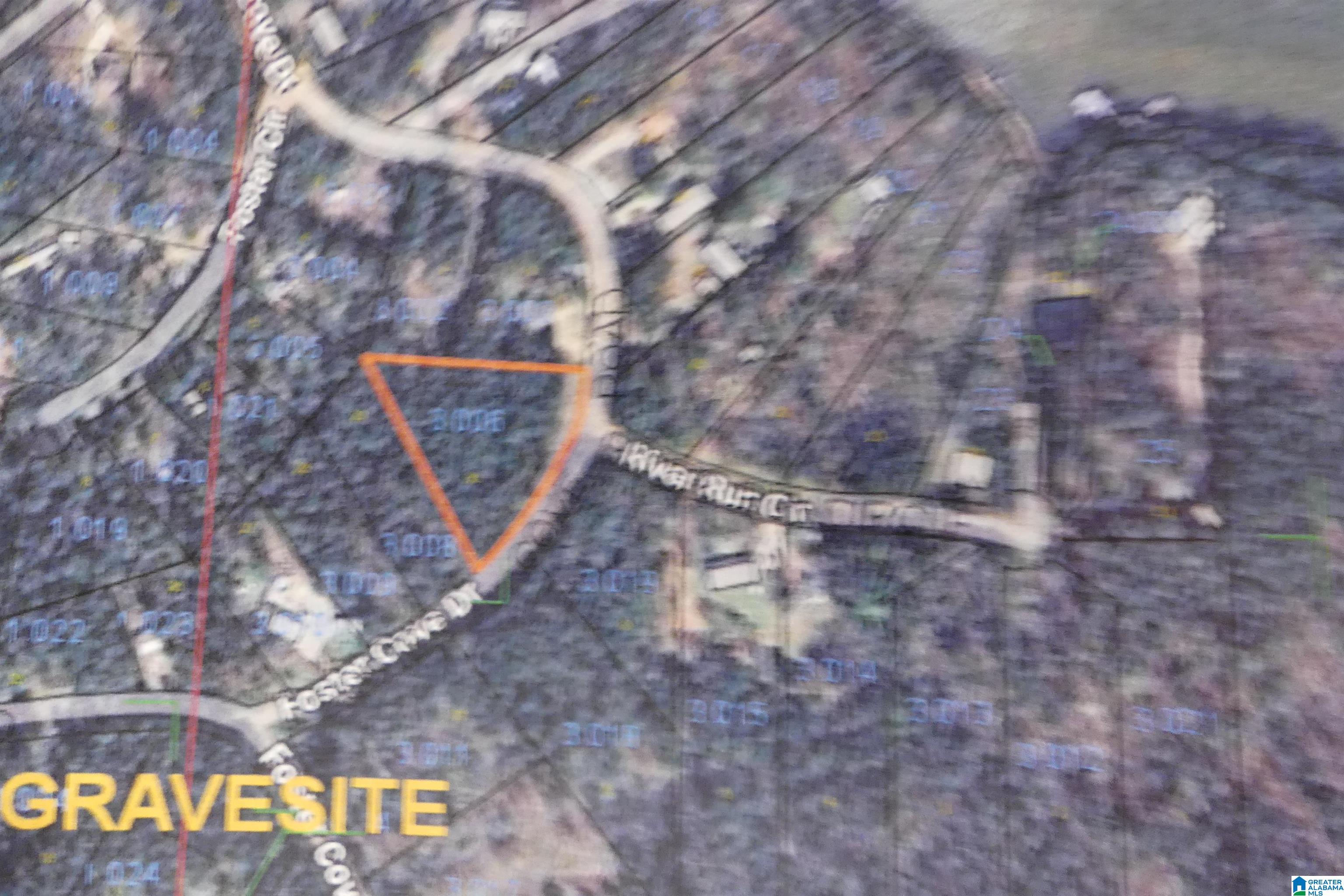 Lot 30 Foster Cove Road, Unit 30 Lineville, AL 36266 - Photo 2 of 2