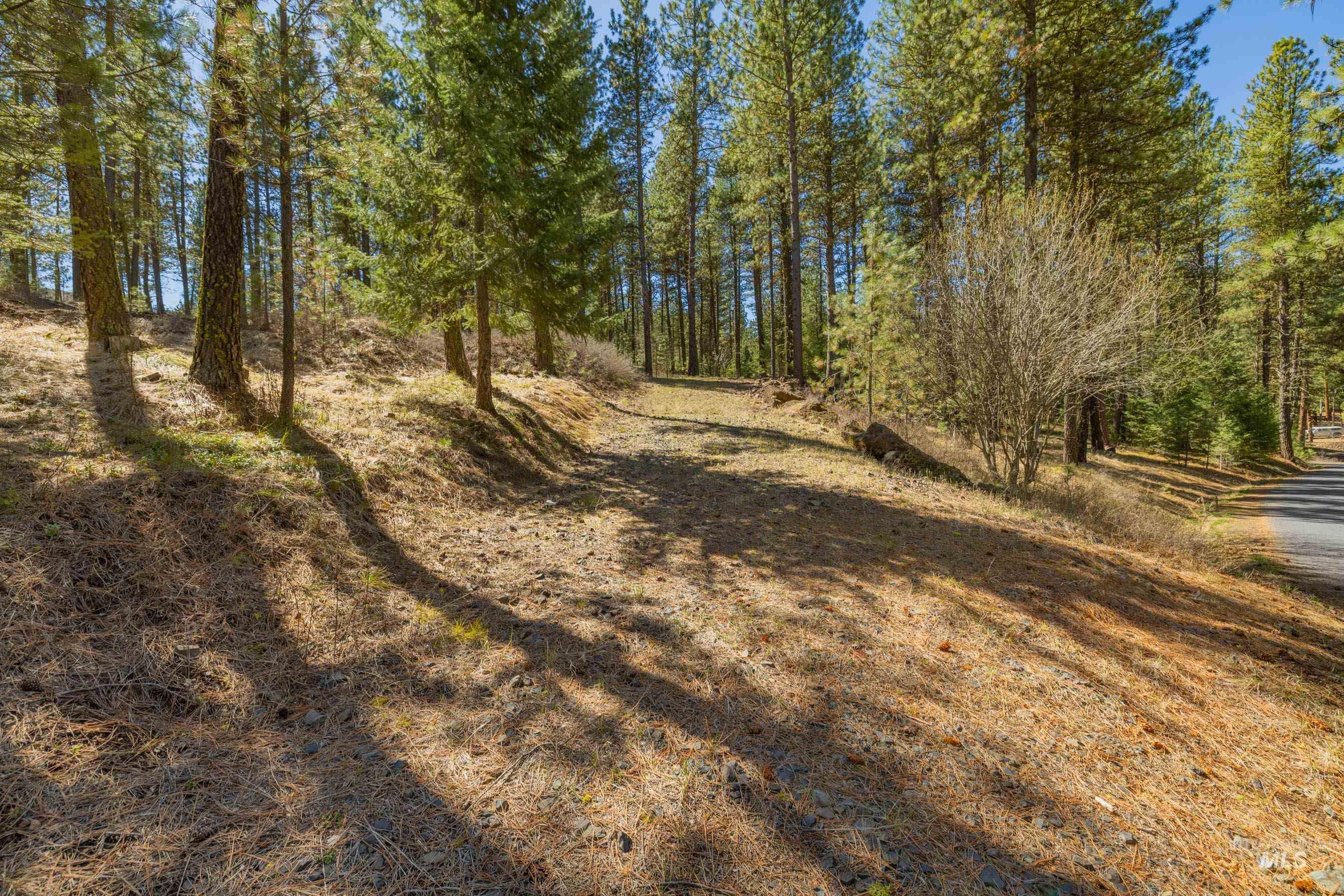 Lot 27 Hot Springs Road New Meadows, ID 83654 - Photo 3 of 23