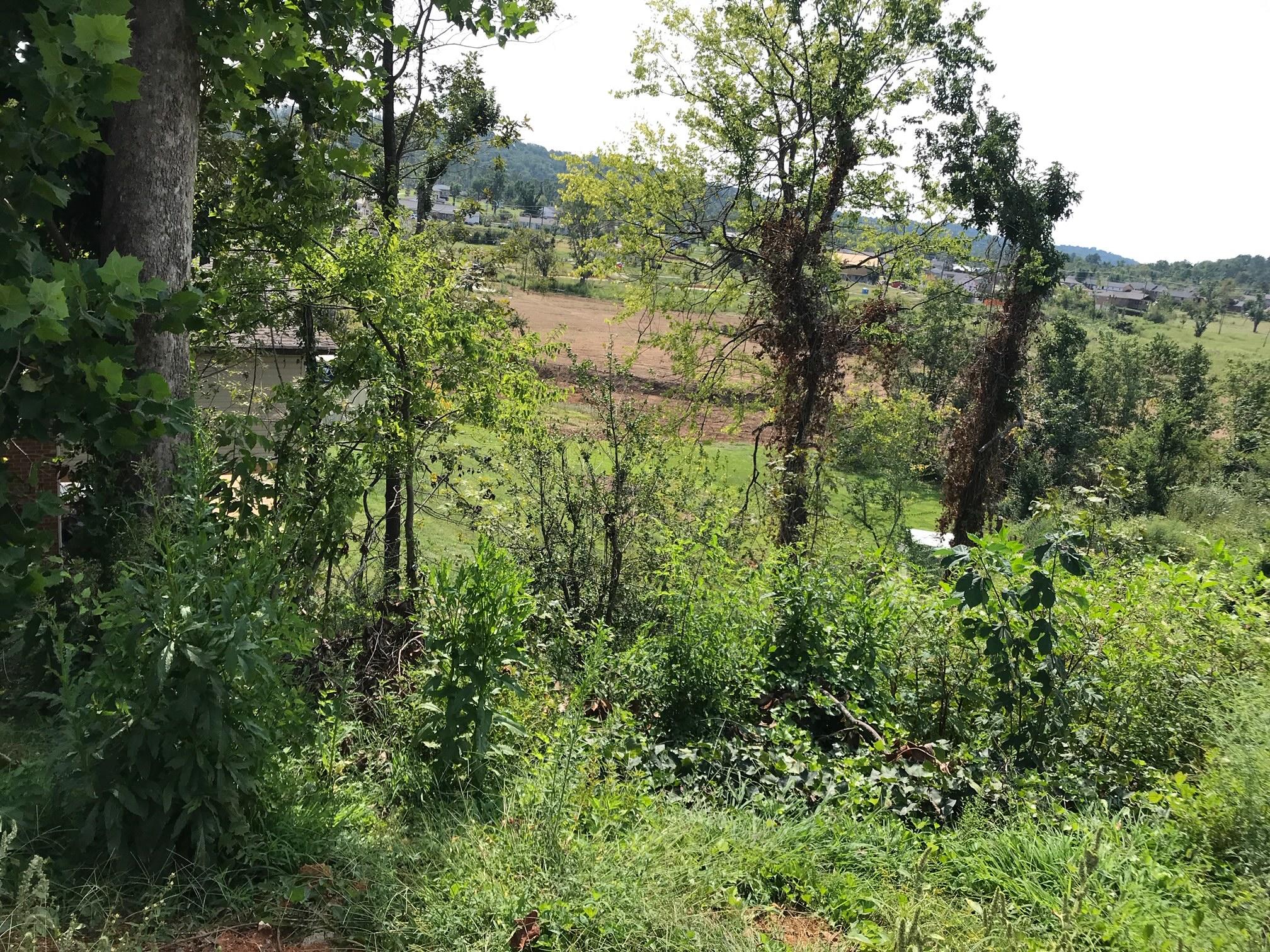 0 Clyde Road Chattanooga, TN 37421 - Photo 1 of 2 c1