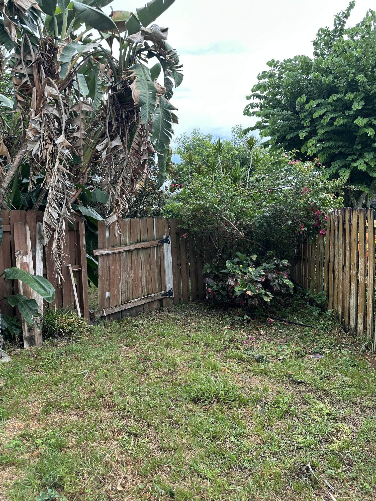115 Spoonbill Court Jupiter, FL 33458 - Photo 47 of 52 a view of a yard with potted plants and a large tree