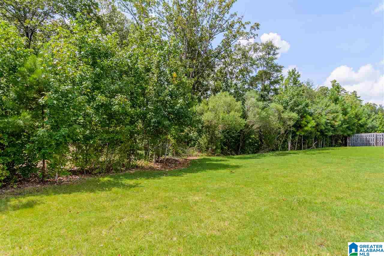 1106 Emerald Ridge Drive Calera, AL 35040 - Photo 32 of 33