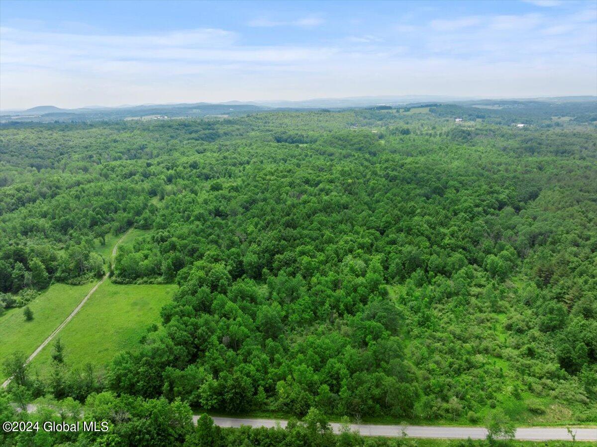 L50 Corbin Hill Road Ballston Lake, NY 12019 - Photo 6 of 8 72-DJI_20240617143919_0224_D_DIGITAL