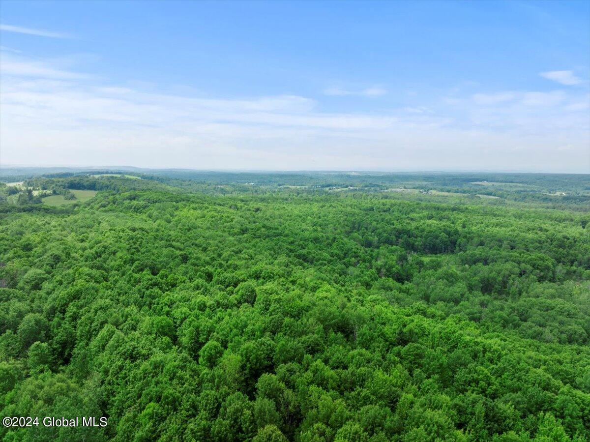 L50 Corbin Hill Road Ballston Lake, NY 12019 - Photo 7 of 8 65-DJI_20240617143526_0203_D_DIGITAL