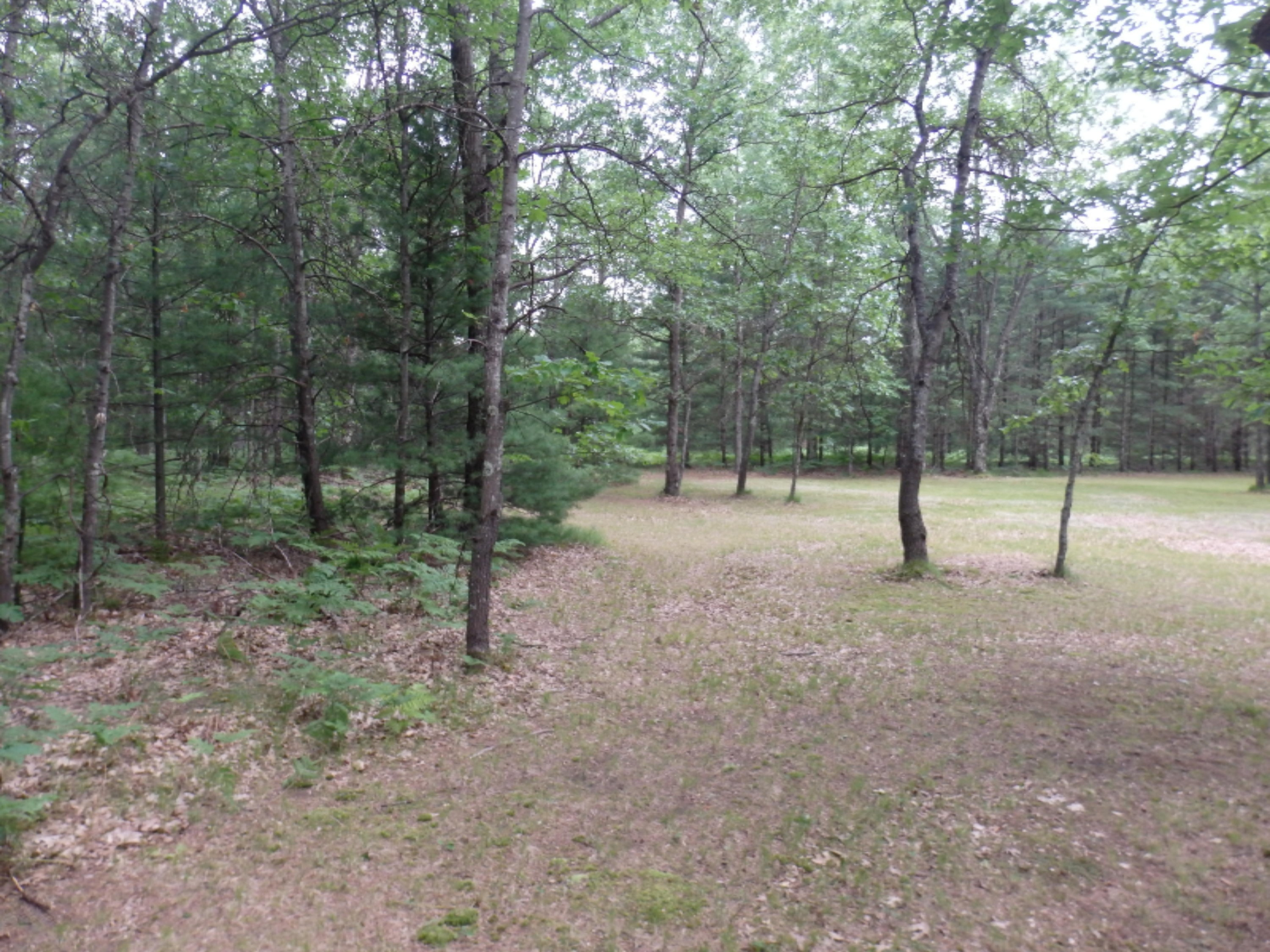 North Kettle Hole Road Manistee, MI 49660 - Photo 13 of 14 P7011613
