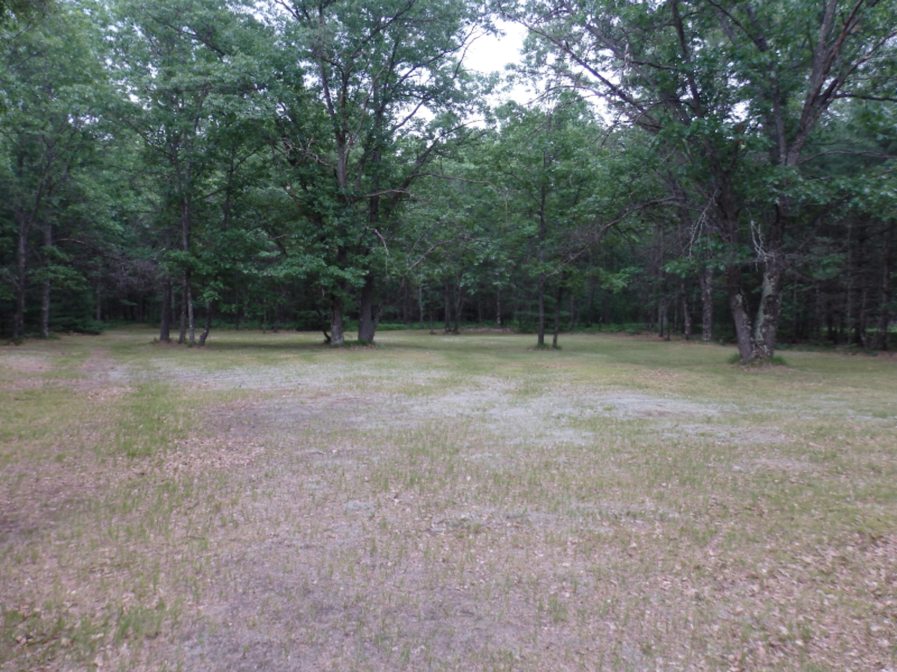 North Kettle Hole Road Manistee, MI 49660 - Photo 14 of 14 P7011614