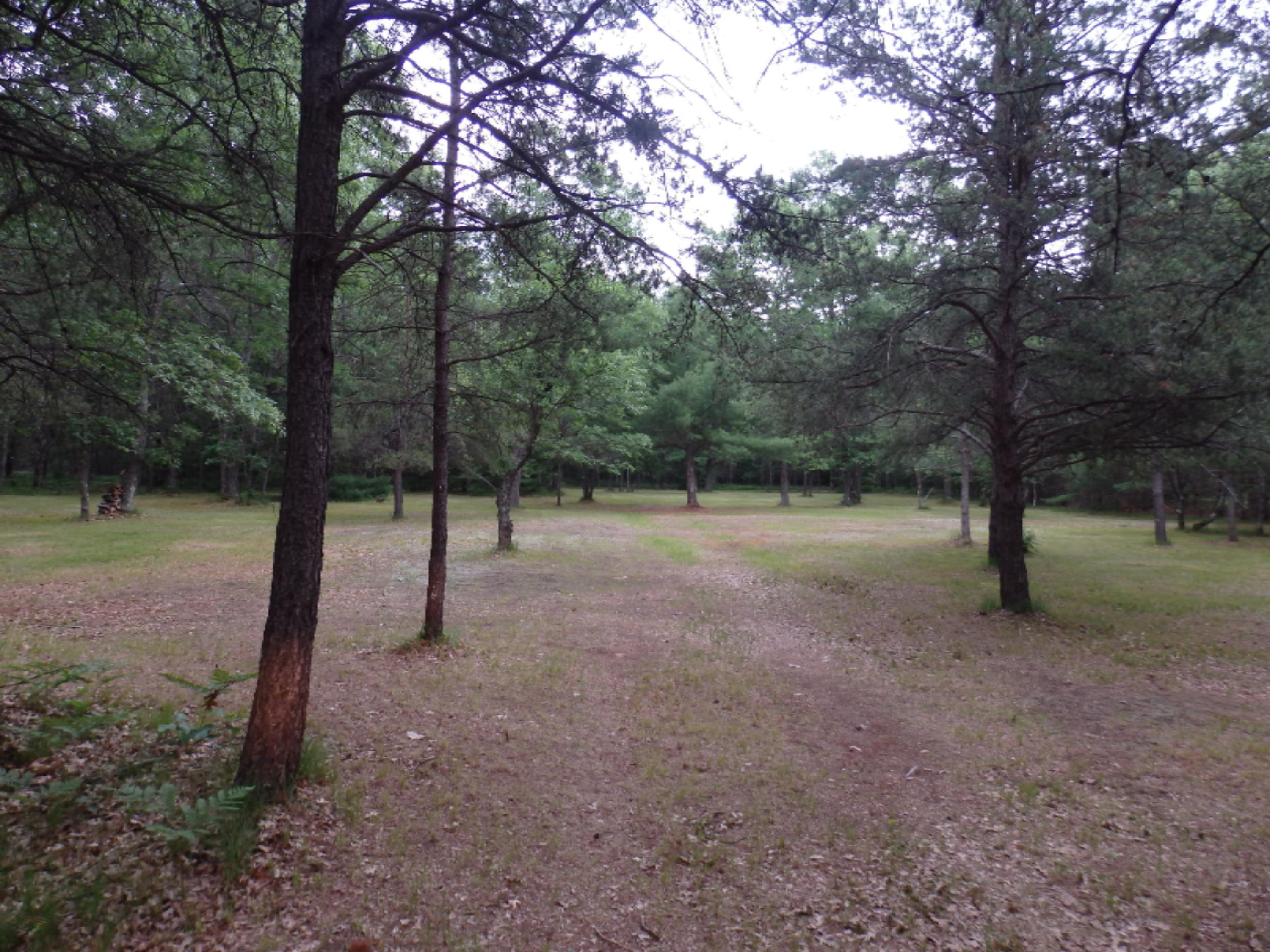 North Kettle Hole Road Manistee, MI 49660 - Photo 4 of 14 P7011603