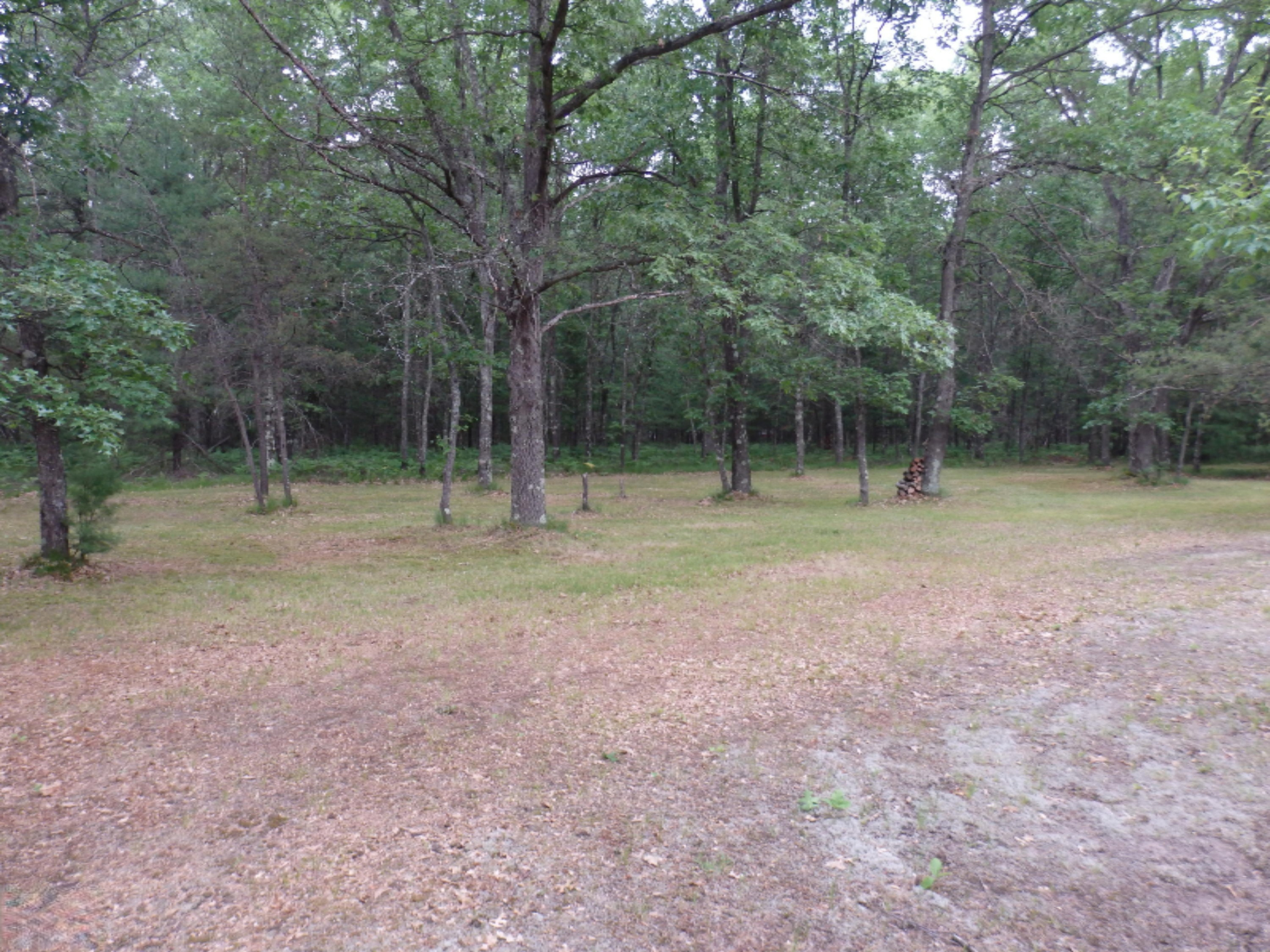 North Kettle Hole Road Manistee, MI 49660 - Photo 5 of 14 P7011604