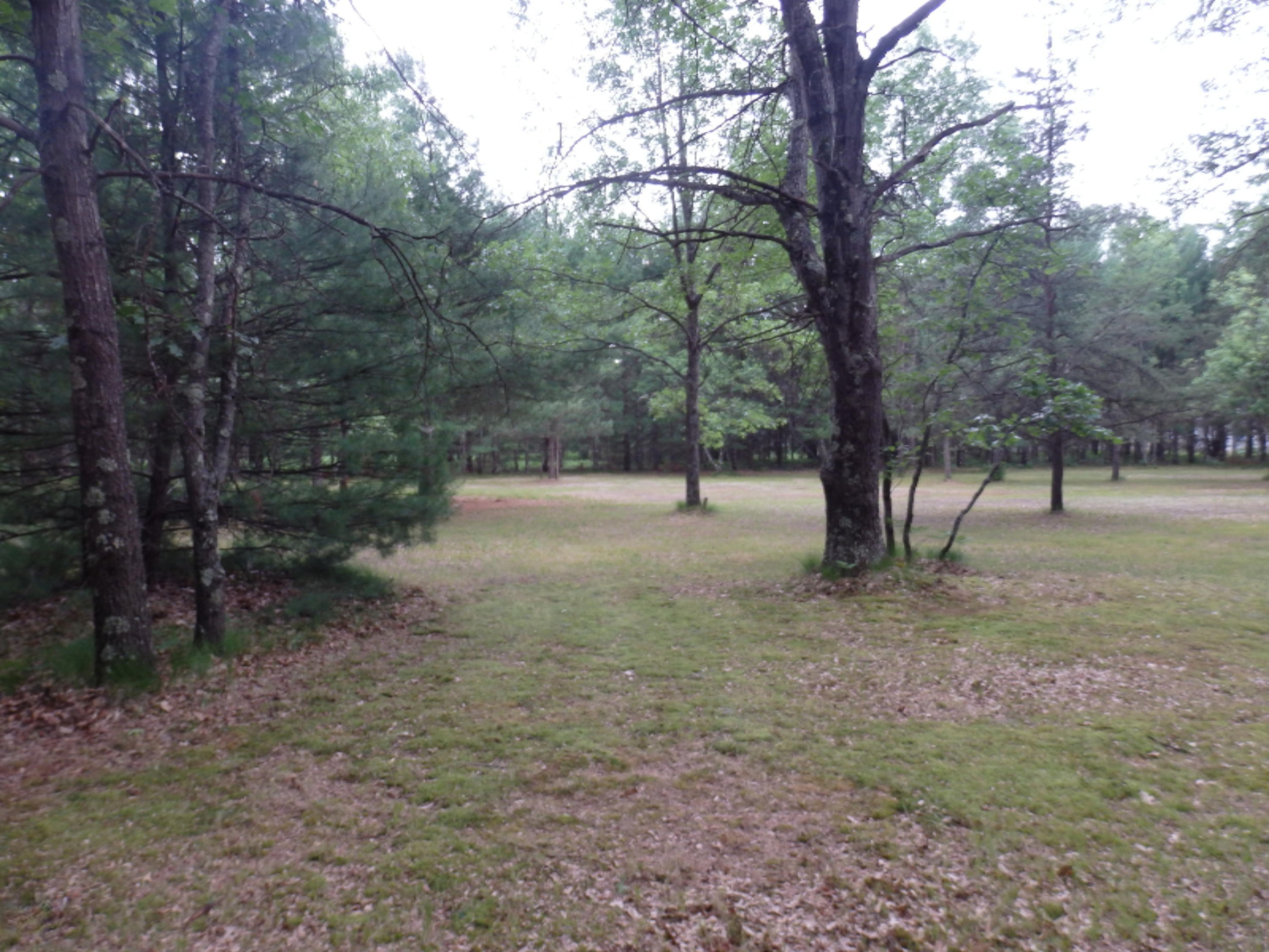 North Kettle Hole Road Manistee, MI 49660 - Photo 7 of 14 P7011606