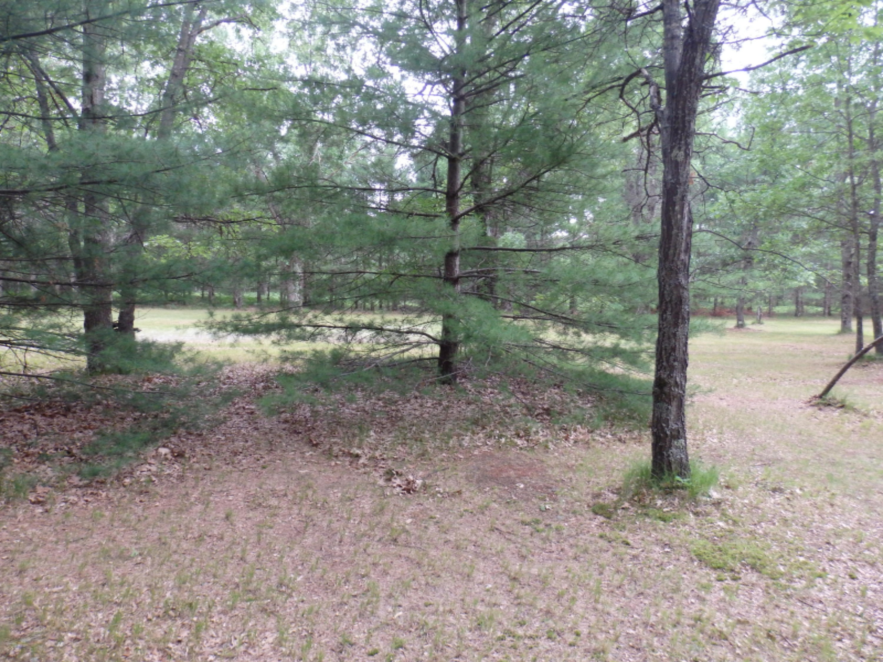 North Kettle Hole Road Manistee, MI 49660 - Photo 9 of 14 P7011608