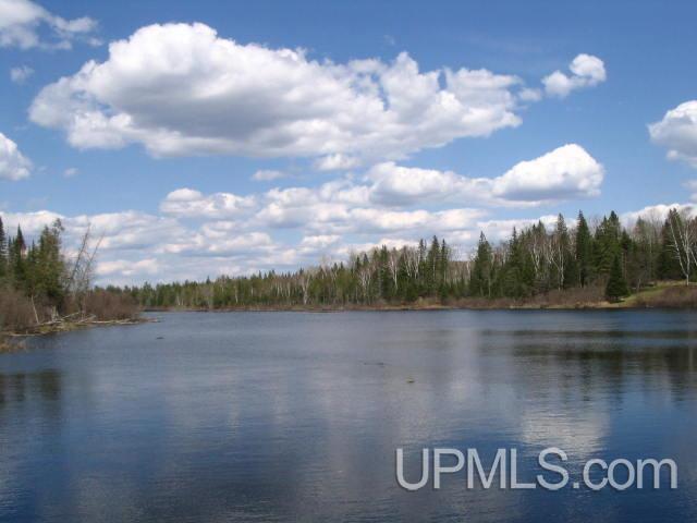 33-acres Off Net River Road Crystal Falls, MI 49920 - Photo 2 of 22