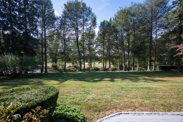 a view of a yard with swimming pool