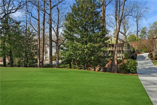 a garden with trees