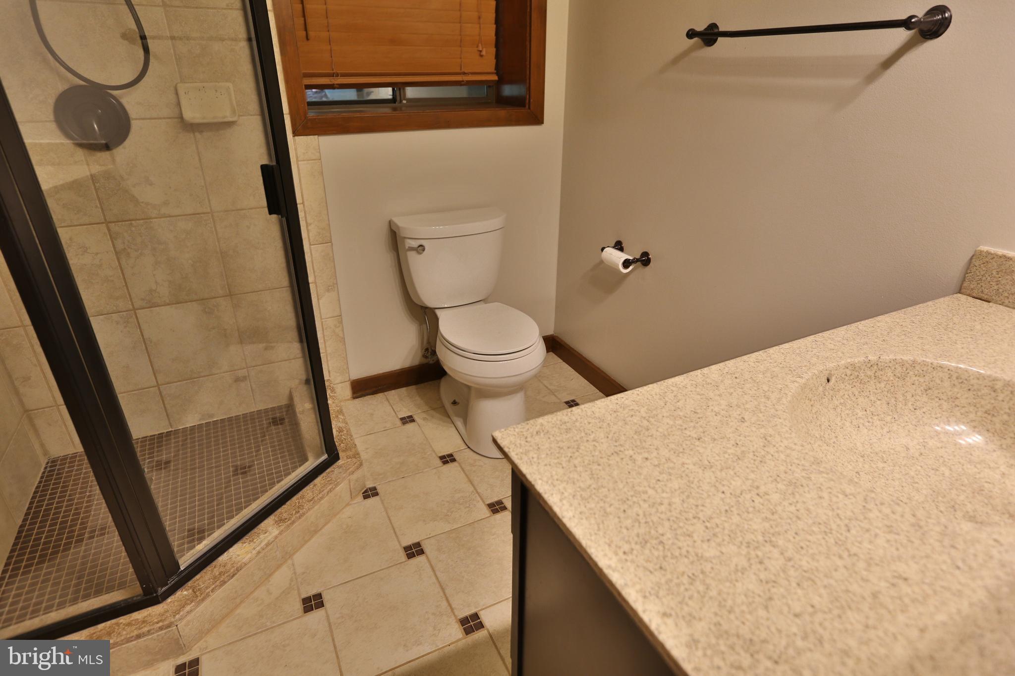 7247 Clifton Road Clifton, VA 20124 - Photo 30 of 38 Bath (3) in Basement