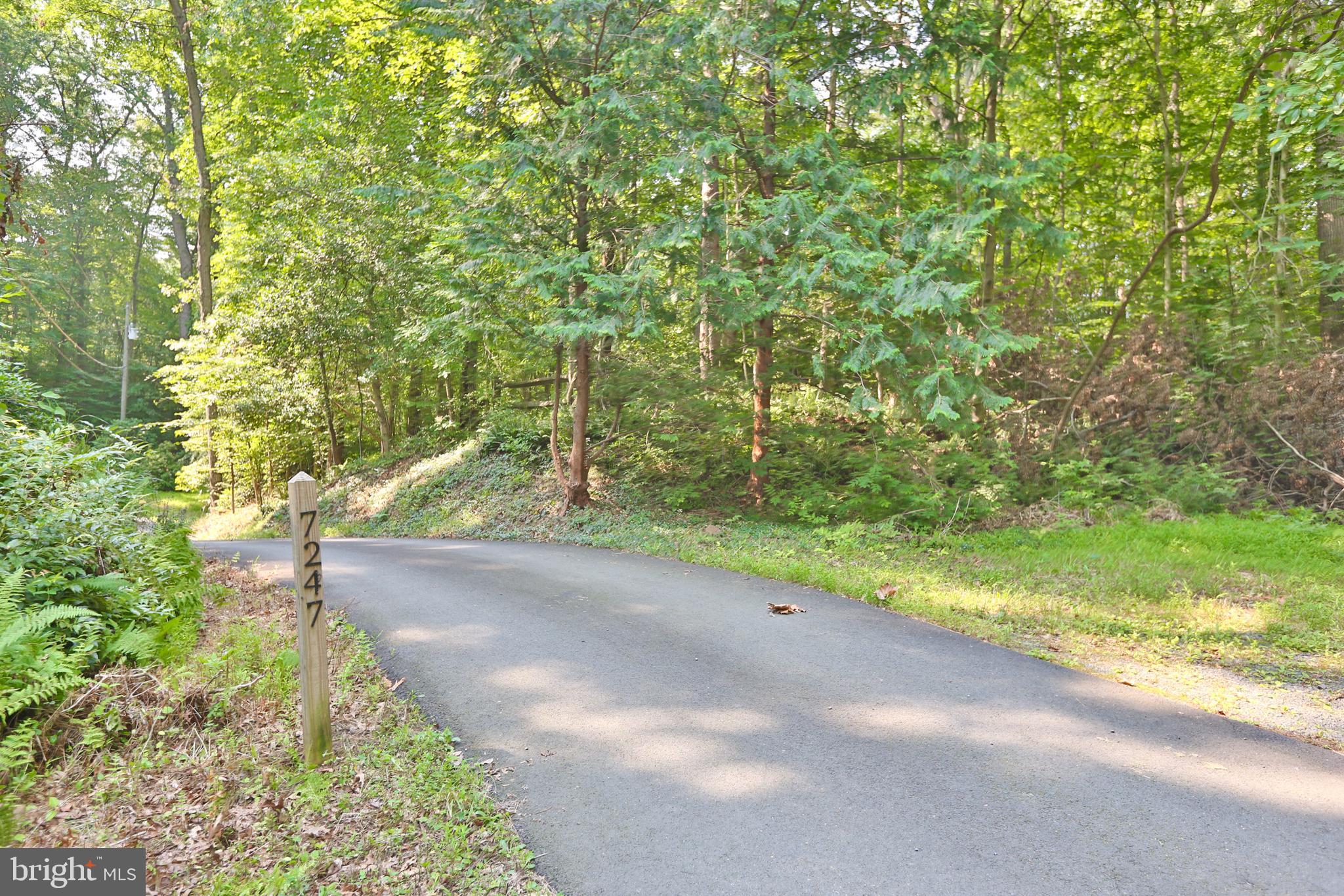 7247 Clifton Road Clifton, VA 20124 - Photo 7 of 38 Entrance Road (Pavement)