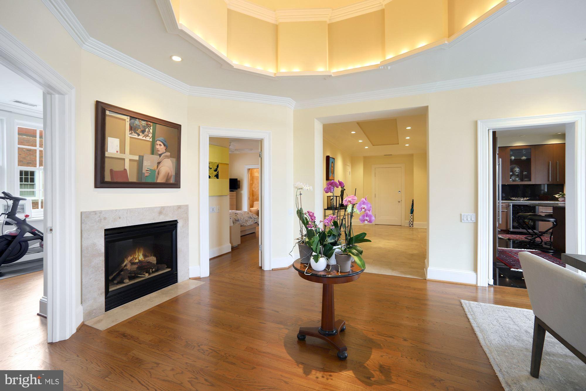 2540 Massachusetts Avenue Northwest, Unit 505 Washington, DC 20008 - Photo 5 of 32 Luxury anchored by a gas burning fireplace