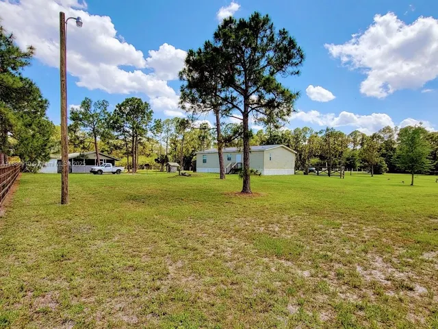 a view of a field with tree s