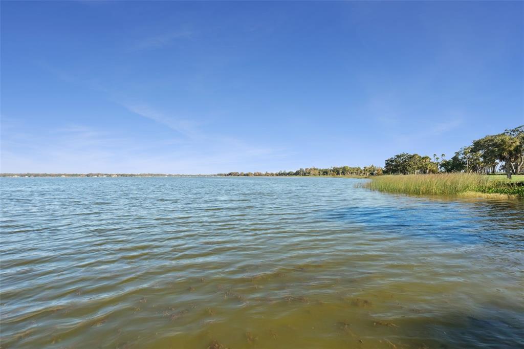 16951 Deer Island Road Tavares, FL 32778 - Photo 3 of 57