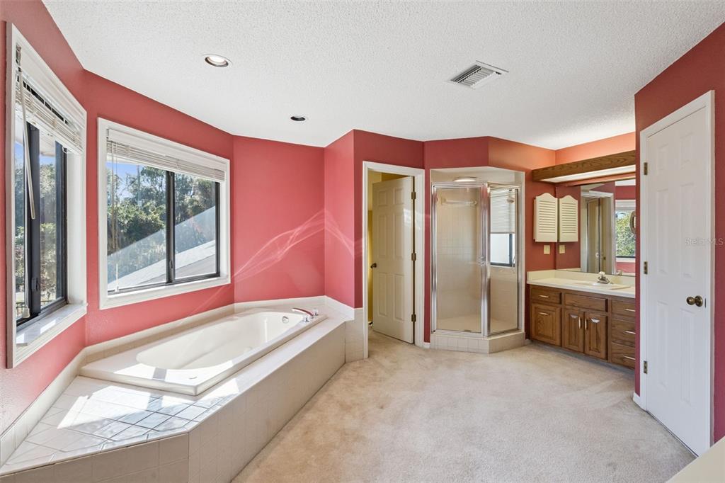 16951 Deer Island Road Tavares, FL 32778 - Photo 46 of 57