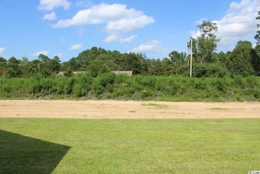 1005 Suggs Street Loris, SC 29569 - Photo 20 of 31 Gallery Image 20