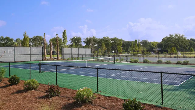 $4,100 | 2268 Hamlin Sound Circle, Mount Pleasant, SC 29466