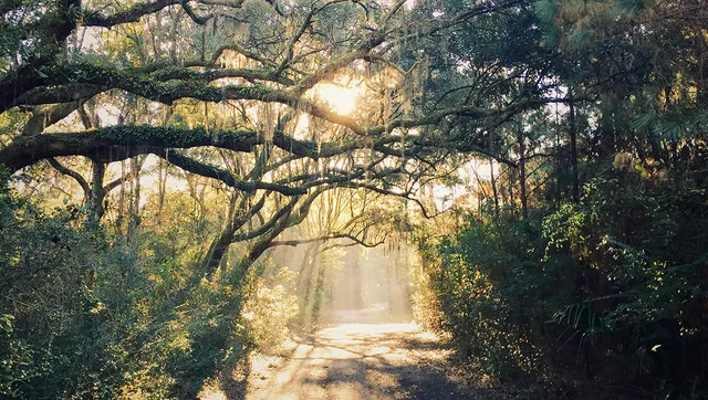 $4,100 | 2268 Hamlin Sound Circle, Mount Pleasant, SC 29466