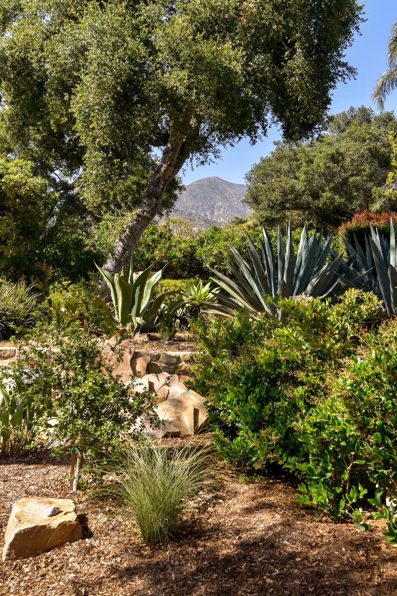 765 B Hot Springs Road Montecito, CA 93108 - Photo 26 of 33 a view of a tree in a garden