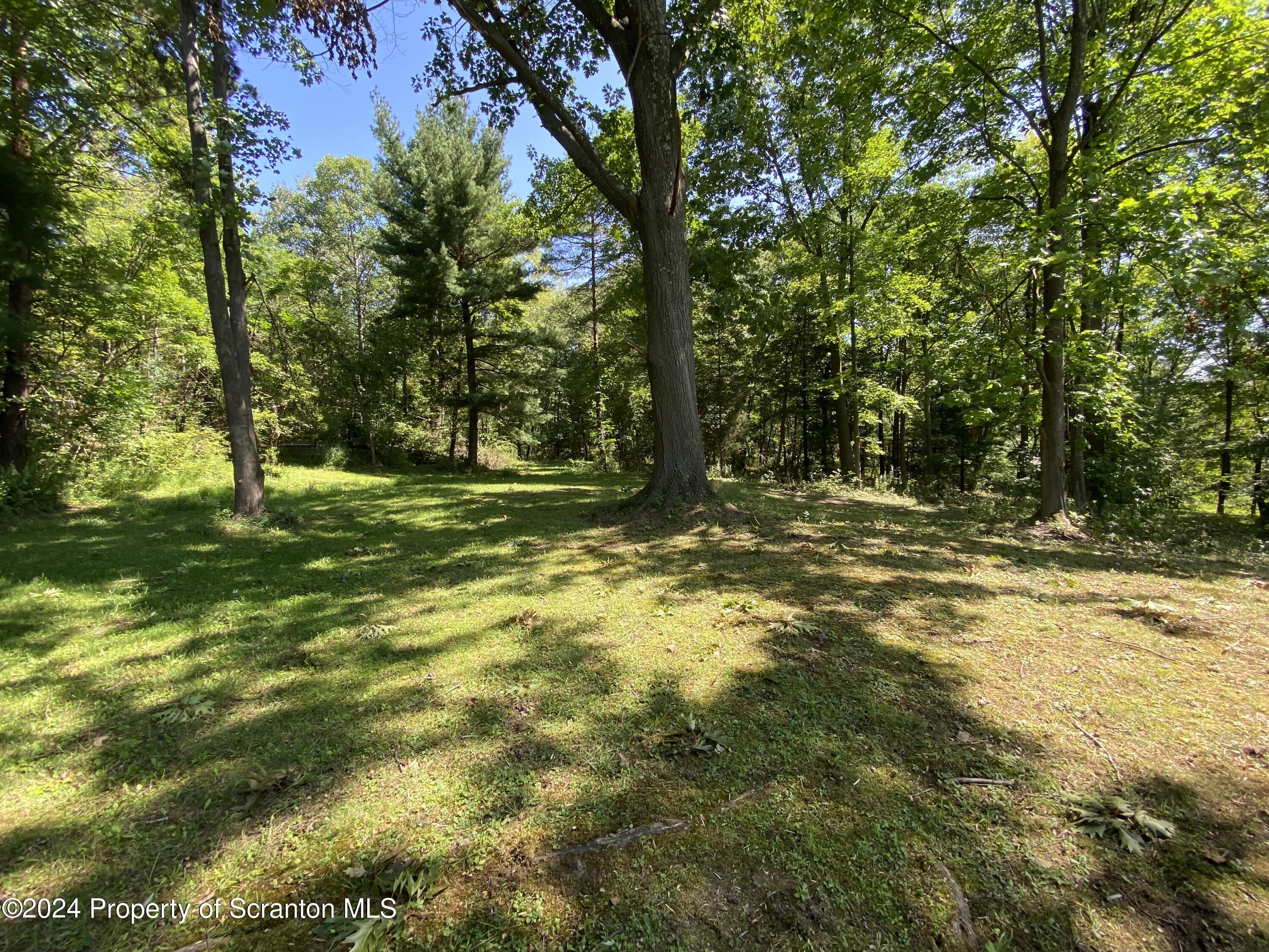 2900 Rear Frink Street Scranton, PA 18504 - Photo 45 of 60 Gallery Image 45