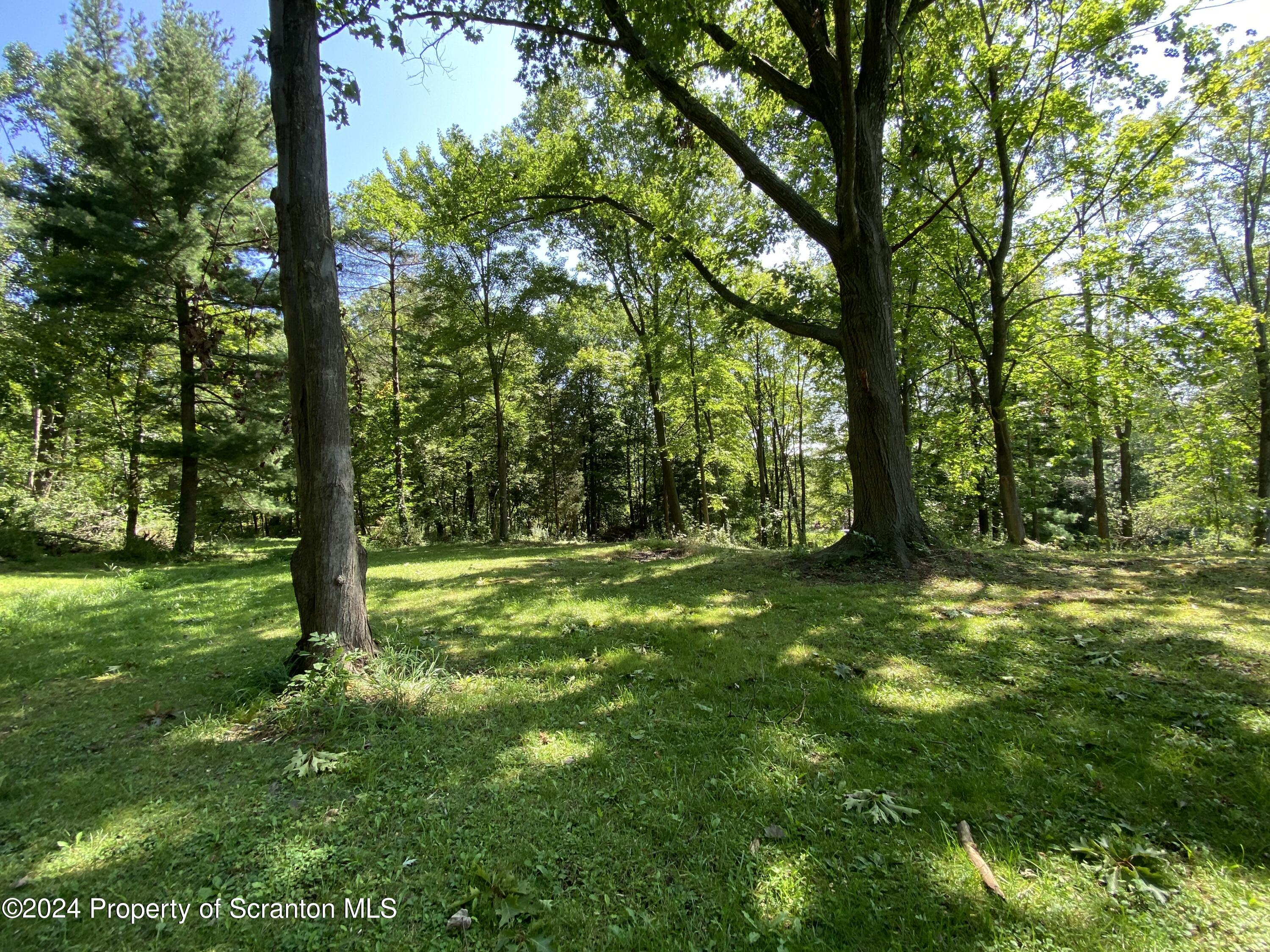 2900 Rear Frink Street Scranton, PA 18504 - Photo 46 of 60 Gallery Image 46