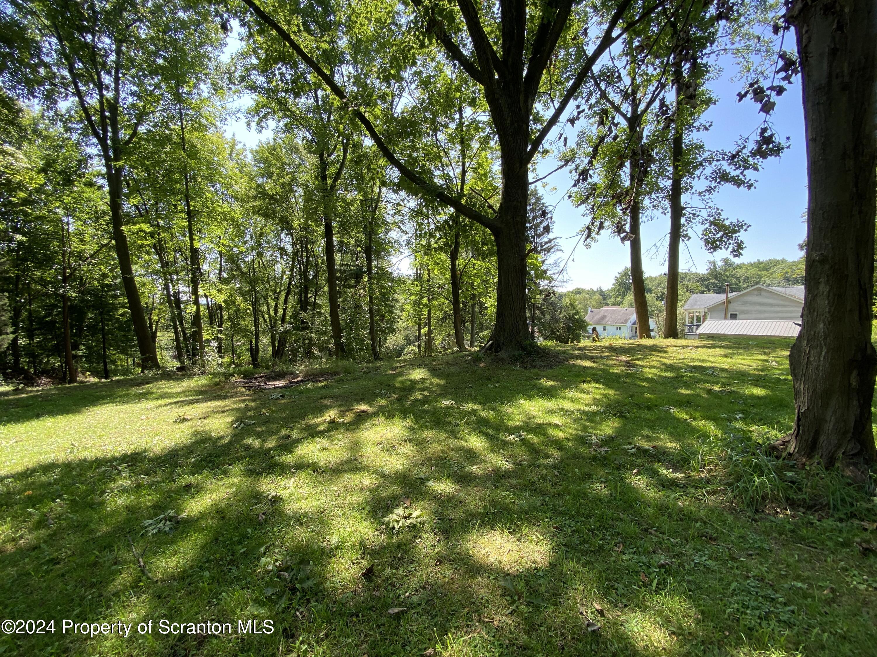 2900 Rear Frink Street Scranton, PA 18504 - Photo 47 of 60 Gallery Image 47