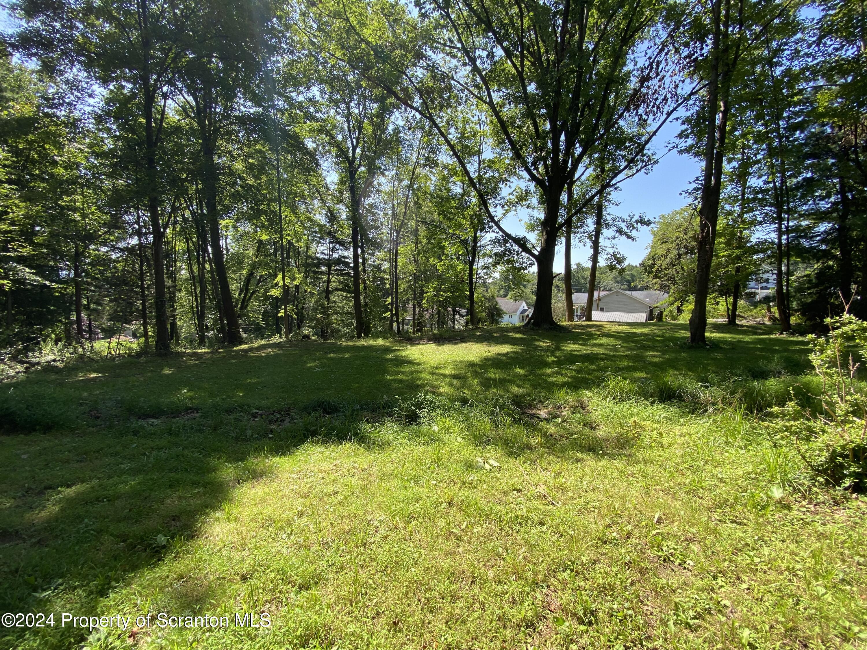 2900 Rear Frink Street Scranton, PA 18504 - Photo 48 of 60 Gallery Image 48