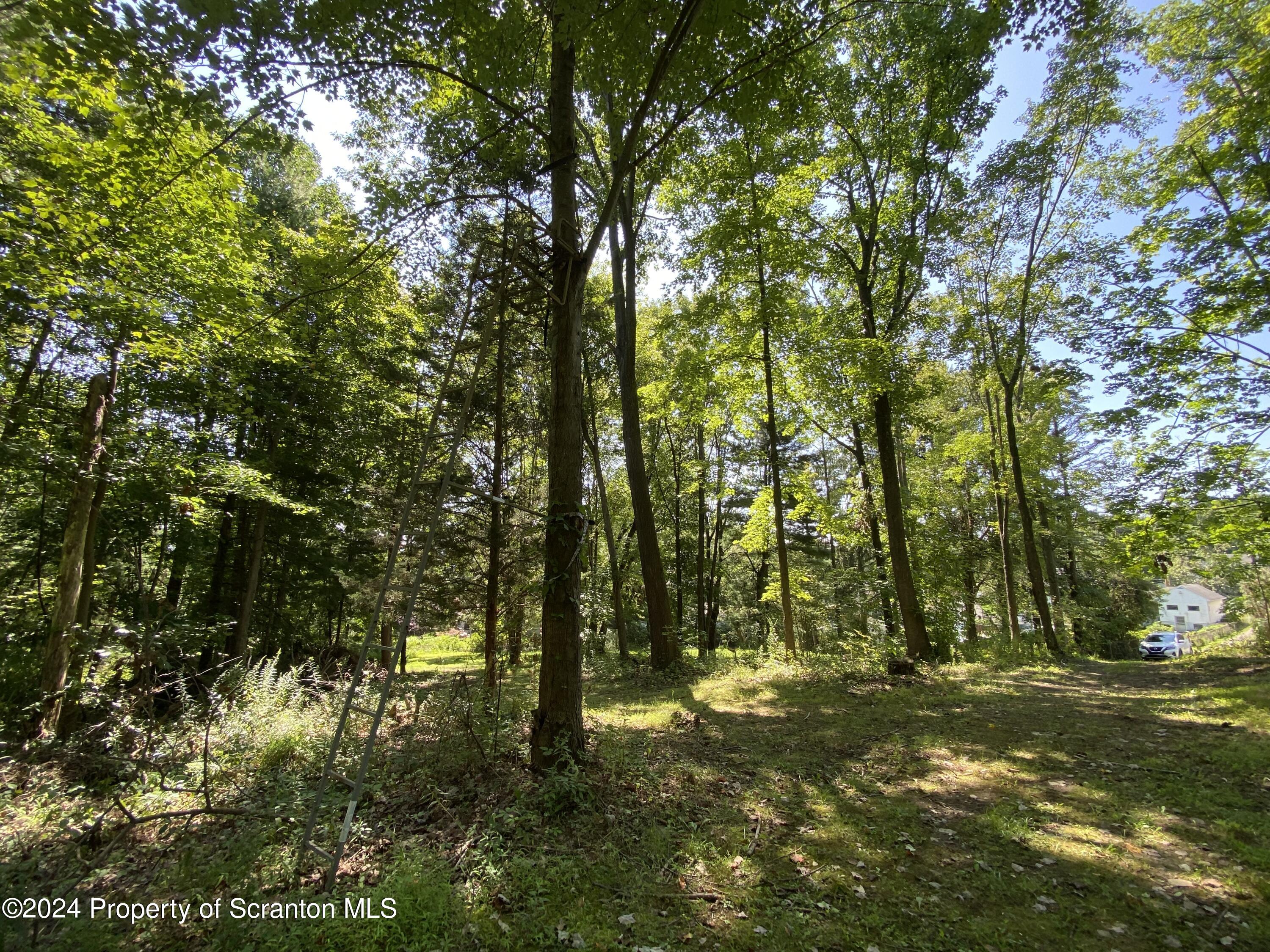 2900 Rear Frink Street Scranton, PA 18504 - Photo 49 of 60 Gallery Image 49