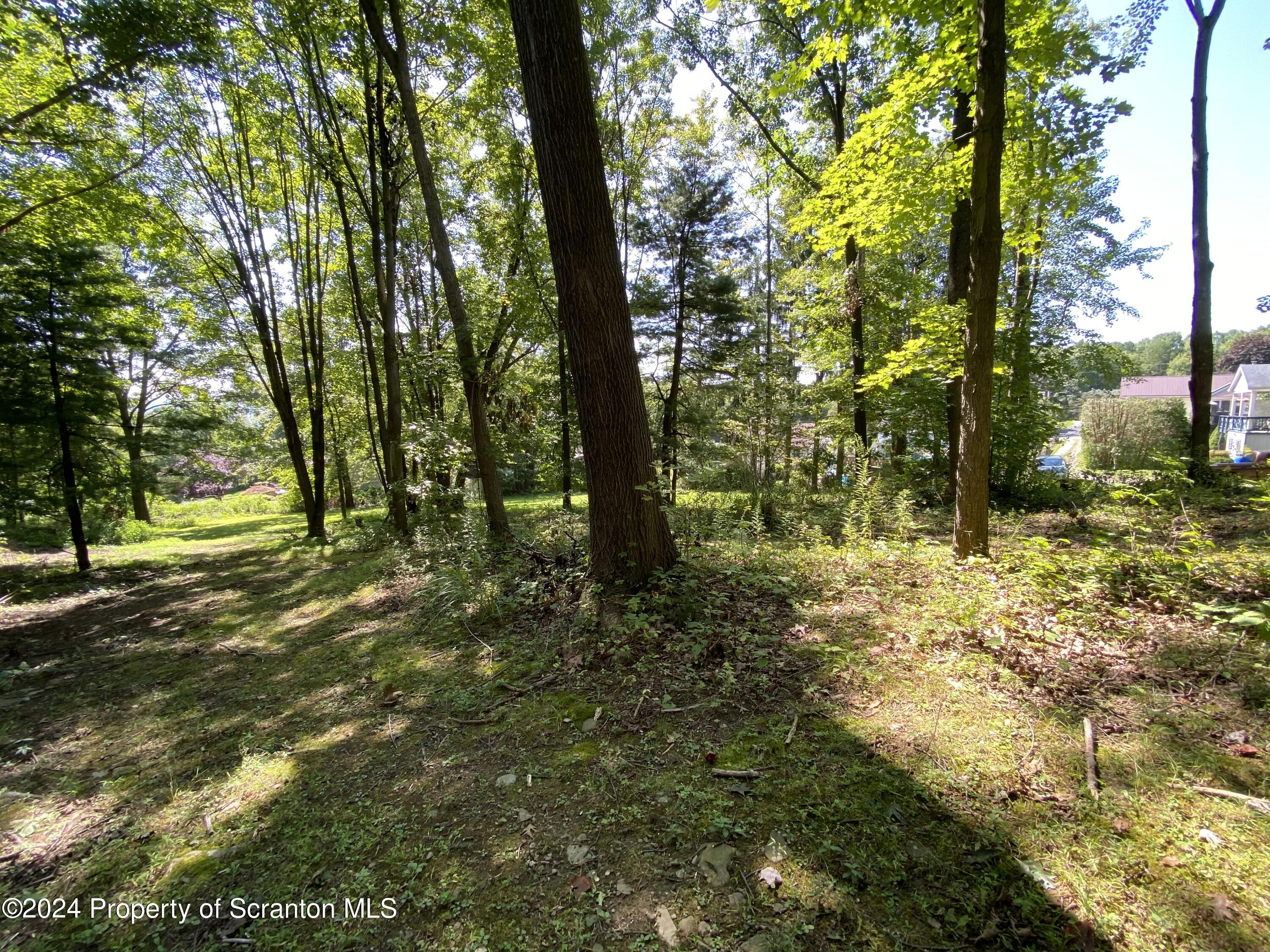 2900 Rear Frink Street Scranton, PA 18504 - Photo 50 of 60 Gallery Image 50