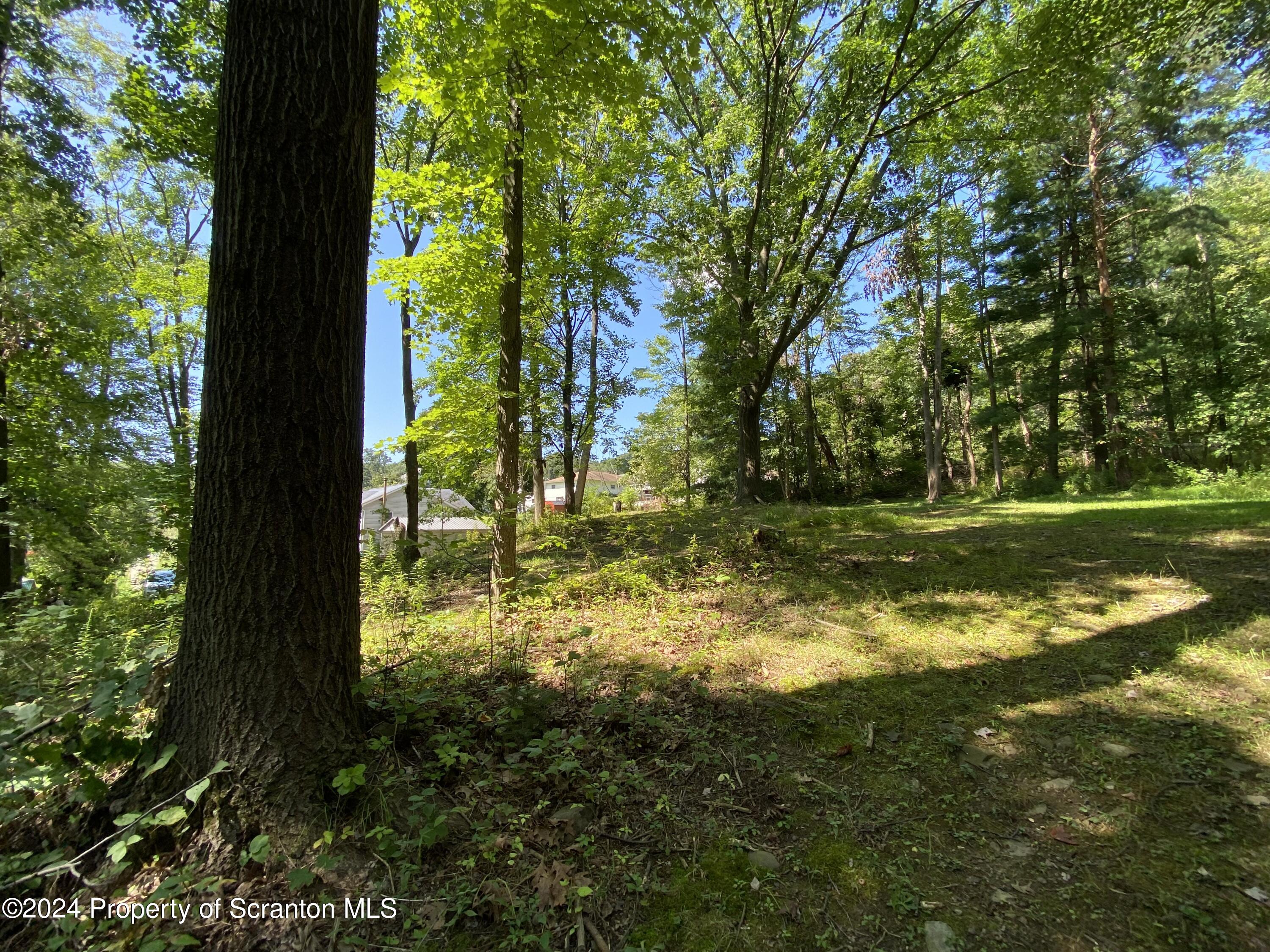 2900 Rear Frink Street Scranton, PA 18504 - Photo 51 of 60 Gallery Image 51