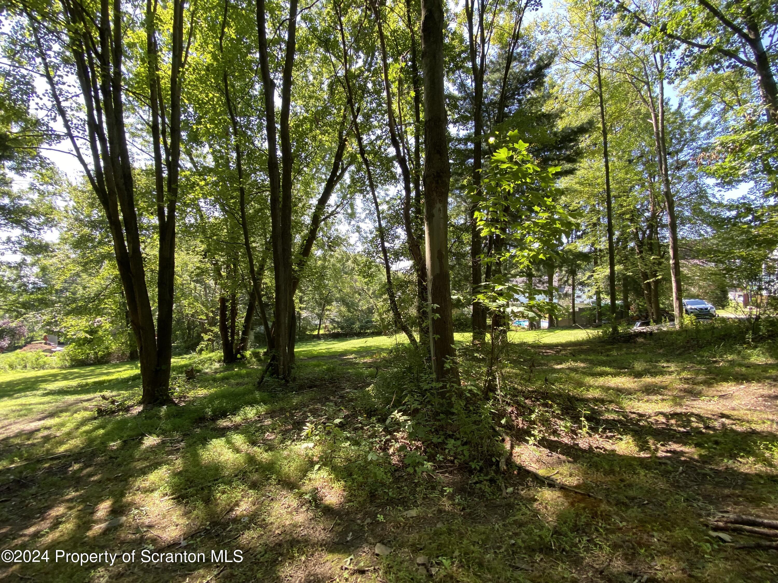 2900 Rear Frink Street Scranton, PA 18504 - Photo 52 of 60 Gallery Image 52
