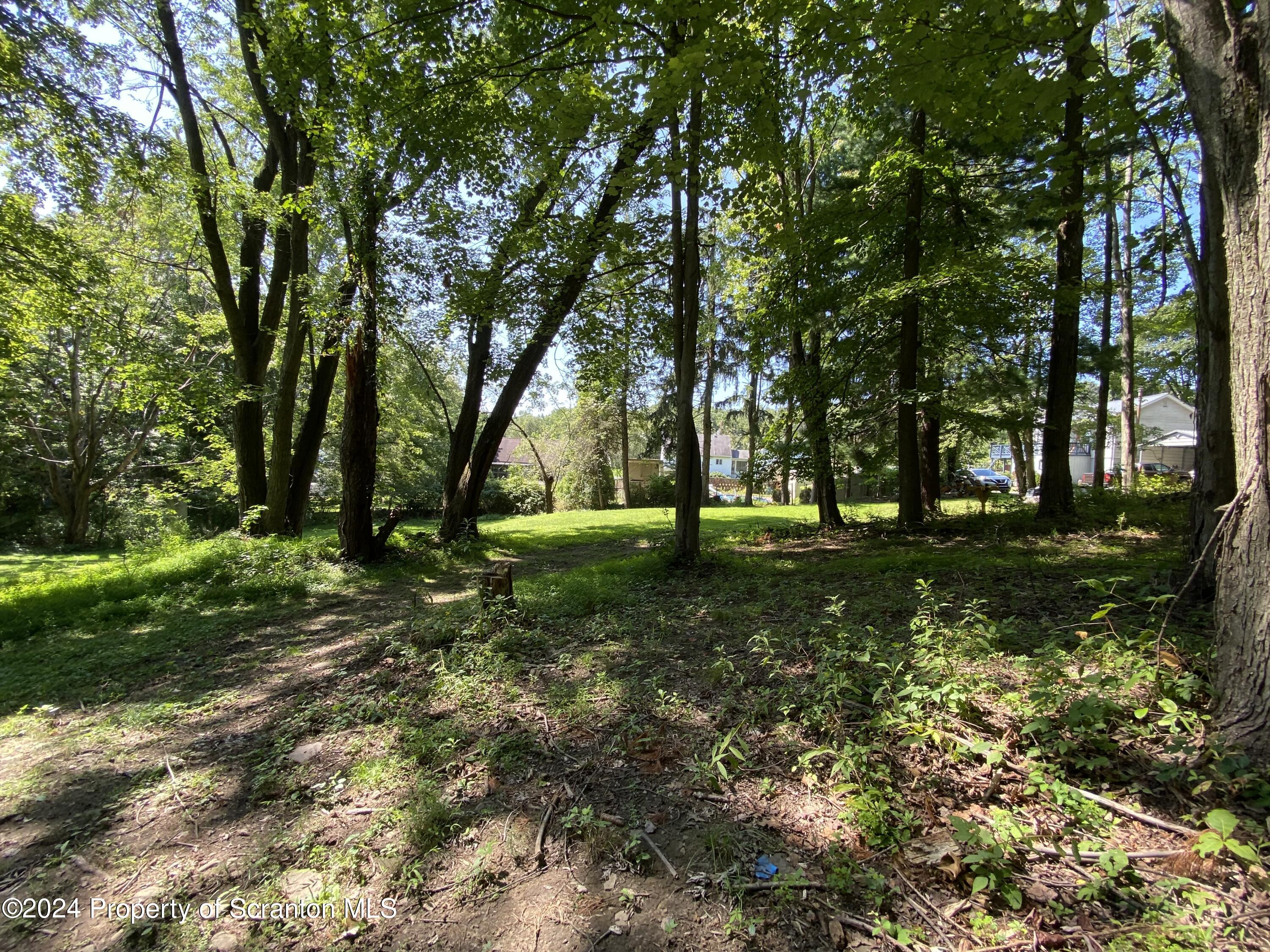 2900 Rear Frink Street Scranton, PA 18504 - Photo 54 of 60 Gallery Image 54