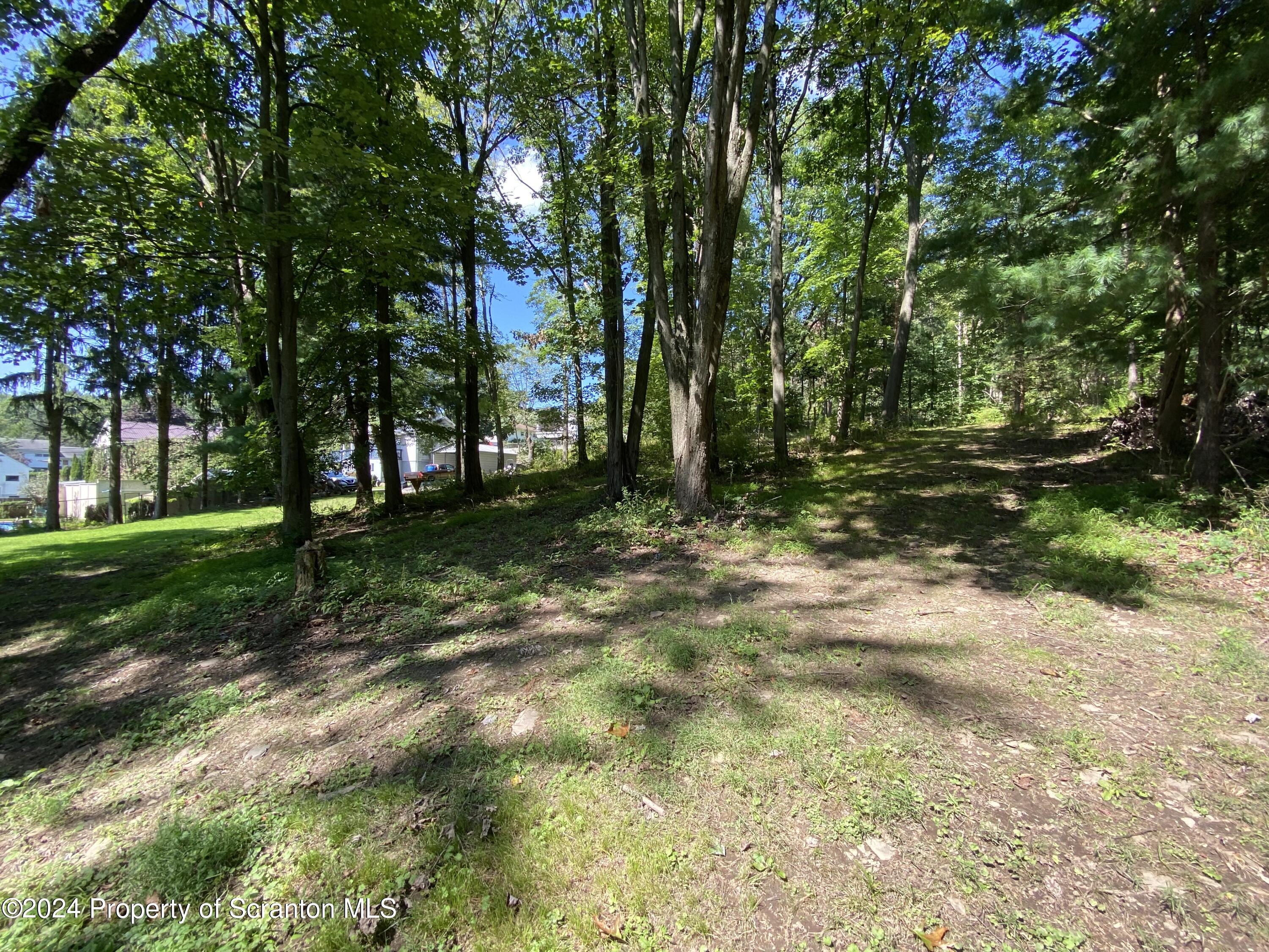 2900 Rear Frink Street Scranton, PA 18504 - Photo 55 of 60 Gallery Image 55