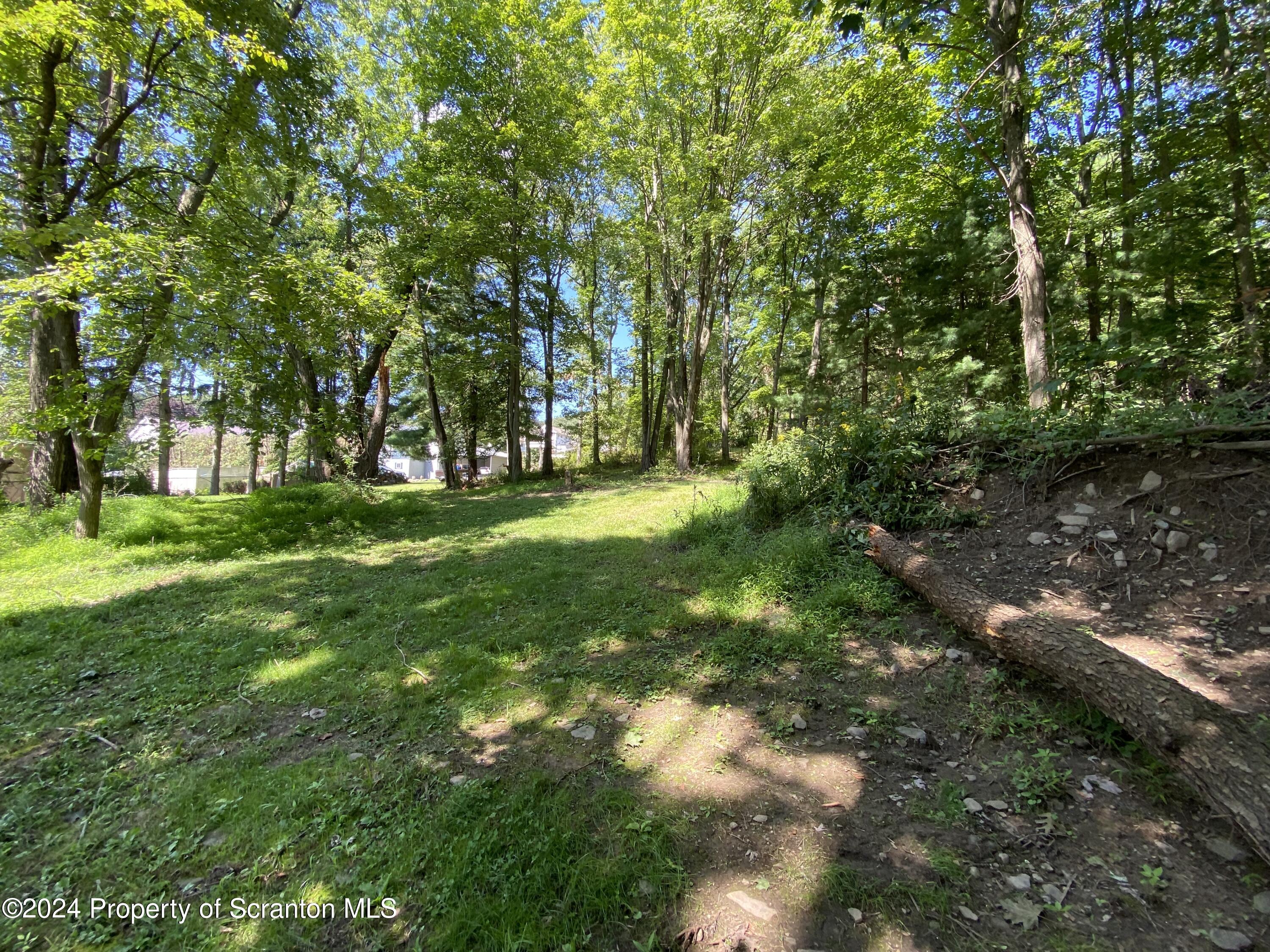 2900 Rear Frink Street Scranton, PA 18504 - Photo 56 of 60 Gallery Image 56