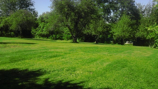 33 Osgood Road Sterling, MA 01564 - Photo 27 of 30 a view of a grassy field with trees