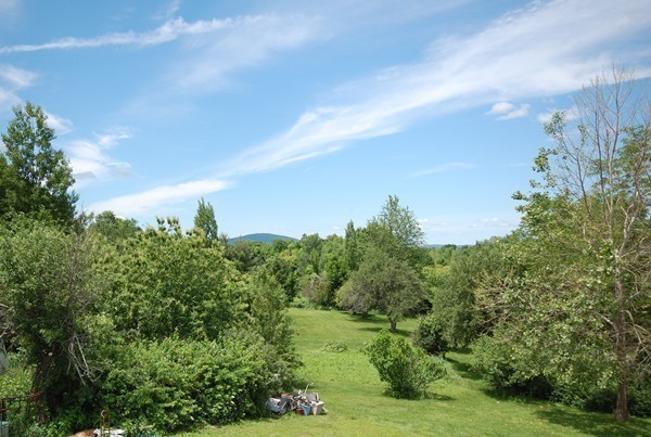 33 Osgood Road Sterling, MA 01564 - Photo 28 of 30 a view of a bunch of trees